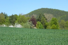 p1010700
