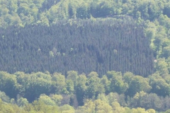p1010712