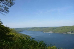 p1010574