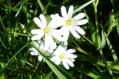 p1010578