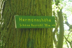 p1010580
