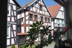 p1010591