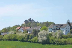 p1010594