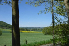 p1010737