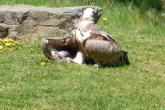 p1010769