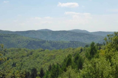 p1010771