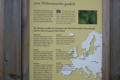 p1010807