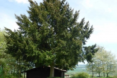 p1010813