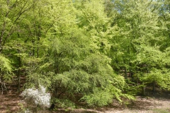 p1010522