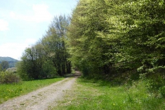 p1010532