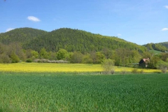 p1010534