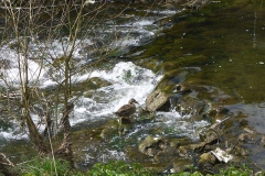 p1020662