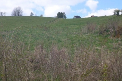 p1020667