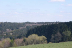 p1020694
