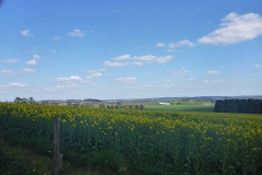 p1020699