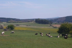 p1020755