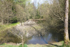 p1020767