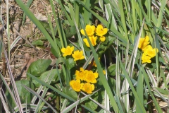 p1020769