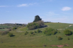 p1020774