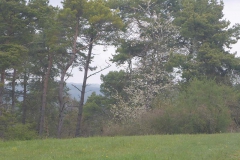 p1020853