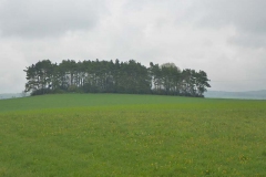 p1020854