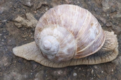 p1020857