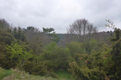 p1020861