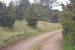 p1020863