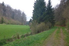 p1020868