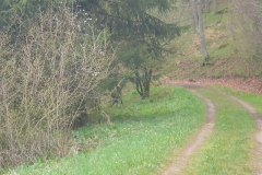 p1020870