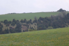 p1020877