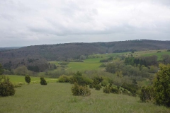 p1020884