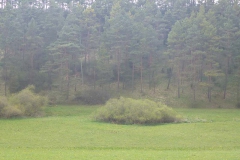 p1020901