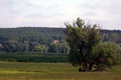 p1030497