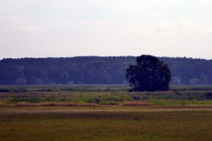 p1030500
