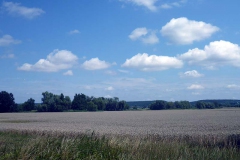 p1030525