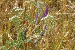 p1020053