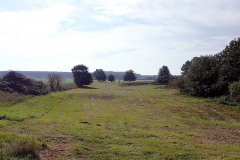 PA030013