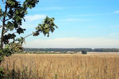 PA030019