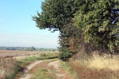 PA030020