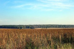 PA030022
