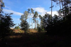 PA030028
