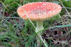 PA030033
