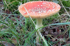 PA030034