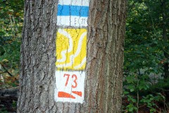 PA030035