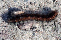 PA030036