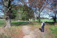 PA030040