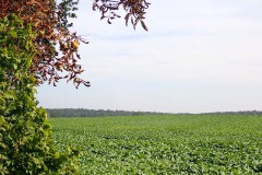 PA030045