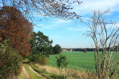 PA030046