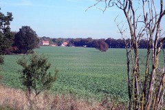 PA030047
